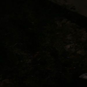 Meet your Posher, Erick